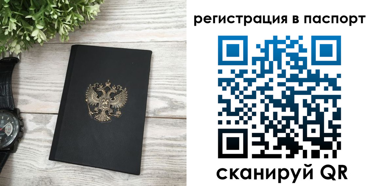 прописка в Электрогорске